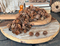 mini Pinecones on a wooden surface with books and decorative items in the background
