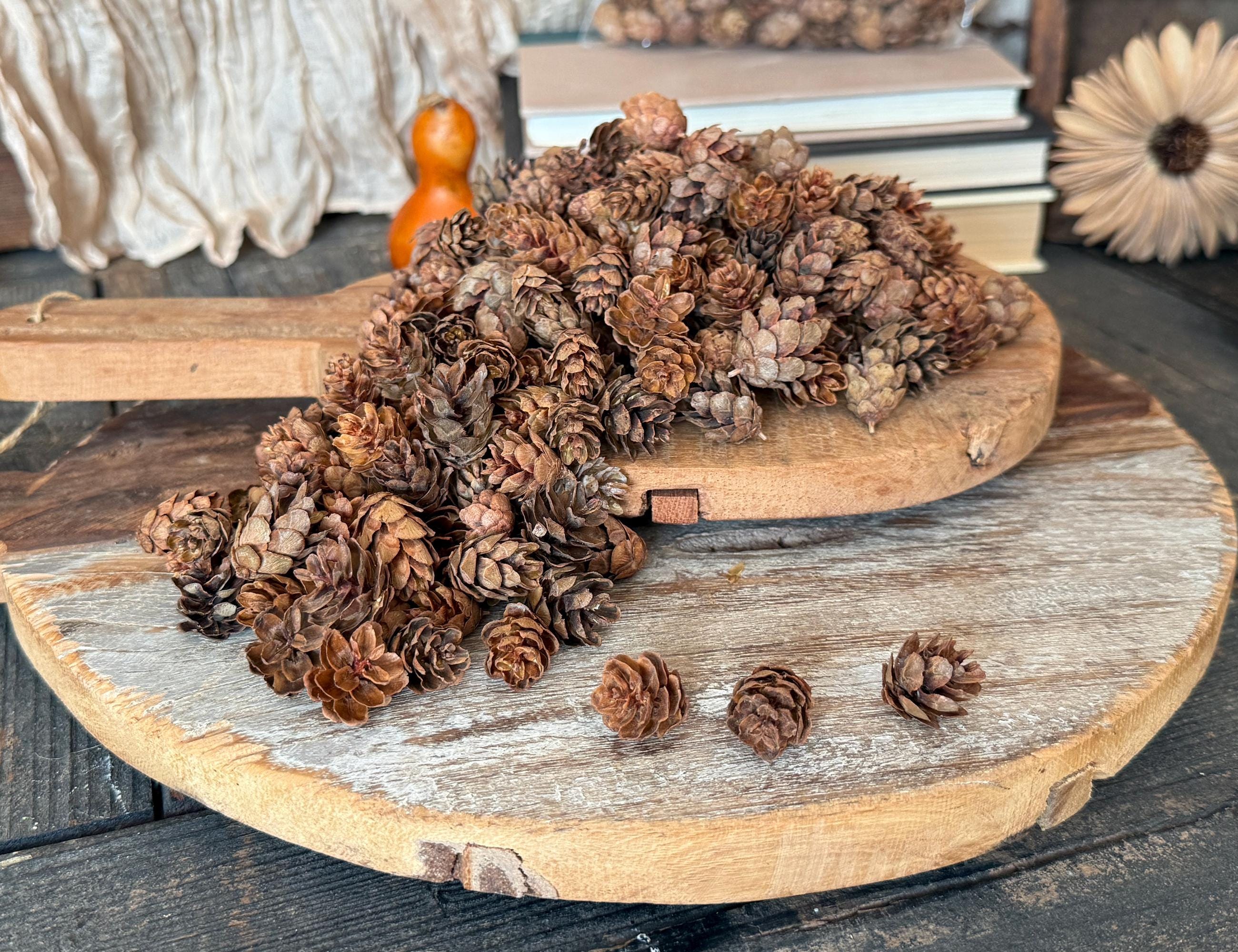 Pinecones on a wooden surface with books and decorative items in the background