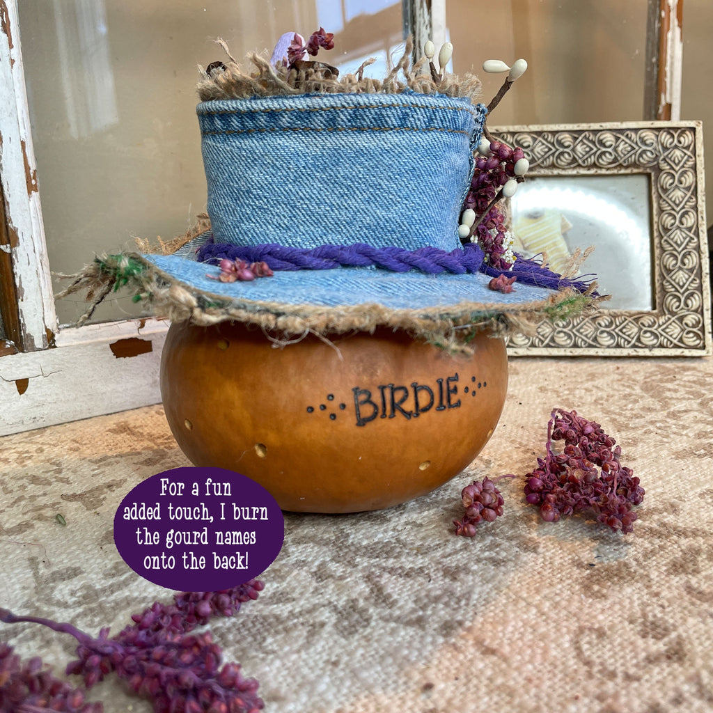 Decorative gourd with a blue hat and 'Birdie' name on a rustic surface.