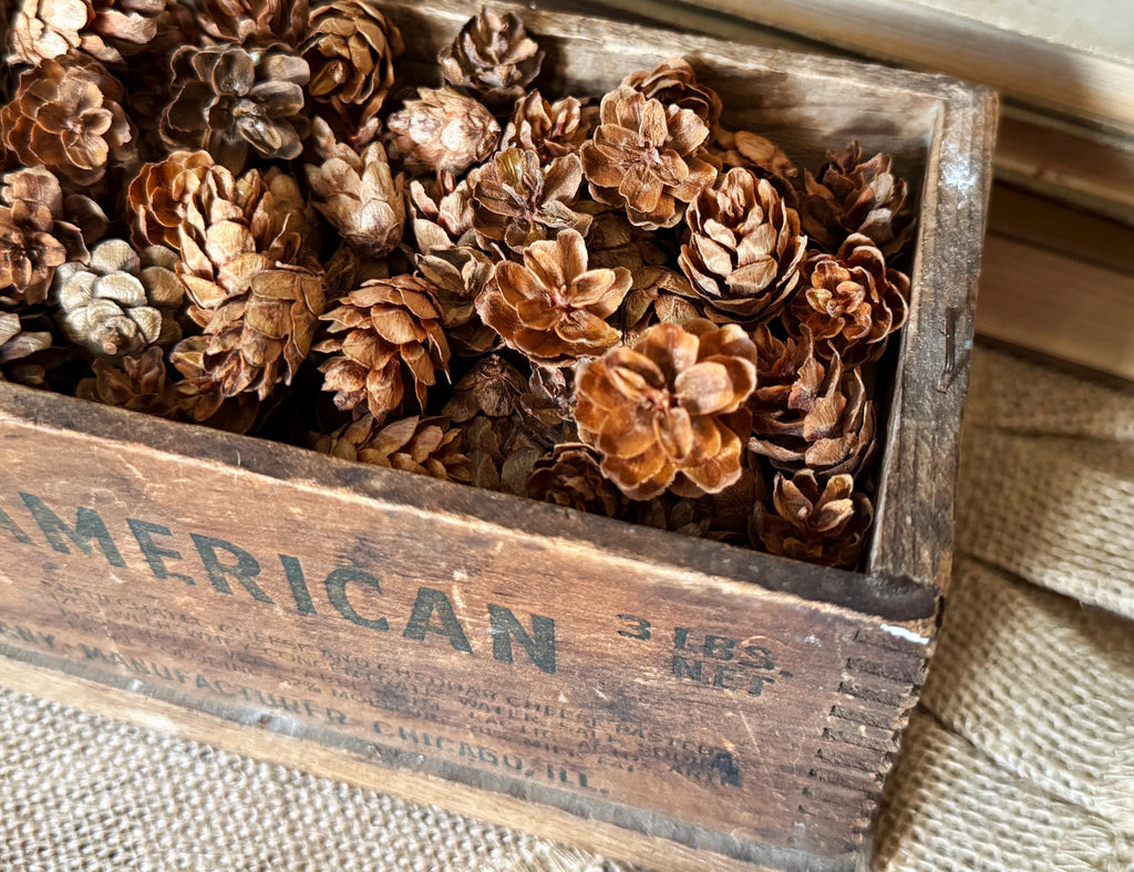 Wooden crate filled with pine cones on a textured surface