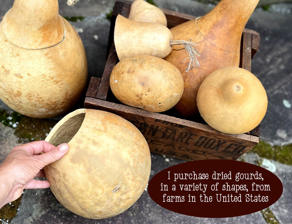 Dried gourds in a wooden crate with a hand holding a gourd, on a textured surface.