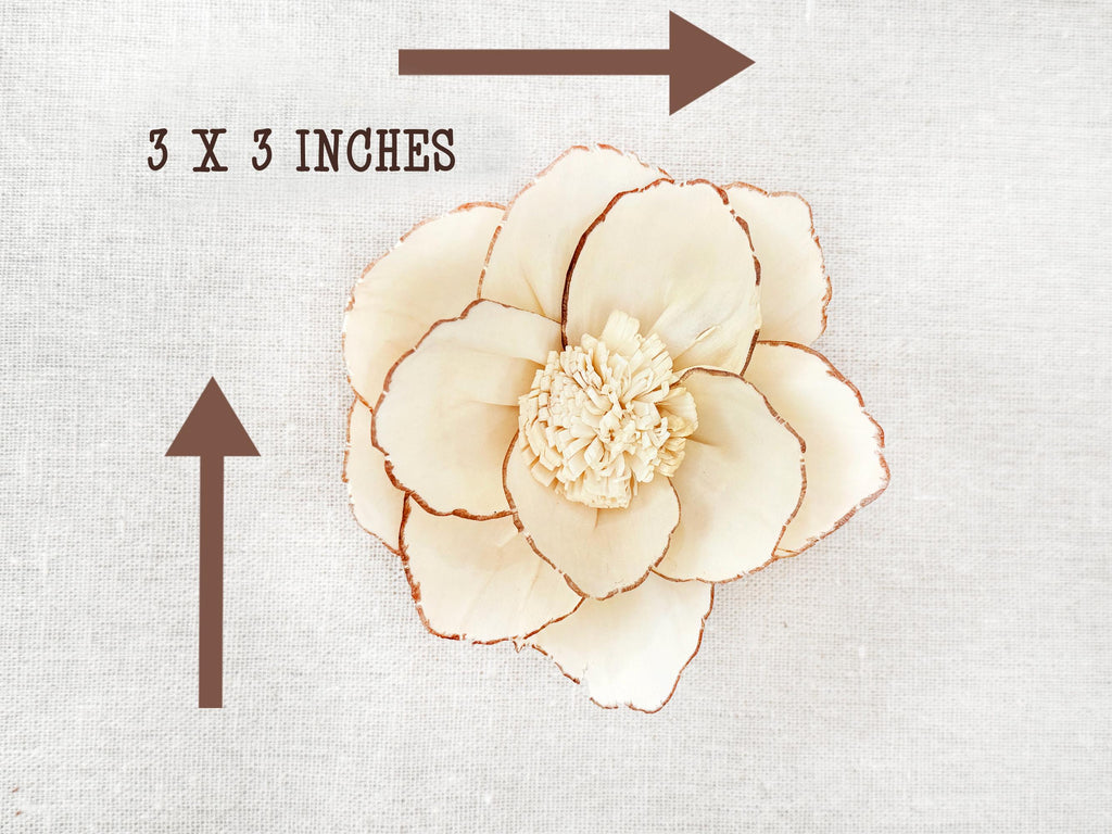 Beige flower on a textured white background with '3 x 3 inches' text and arrows.