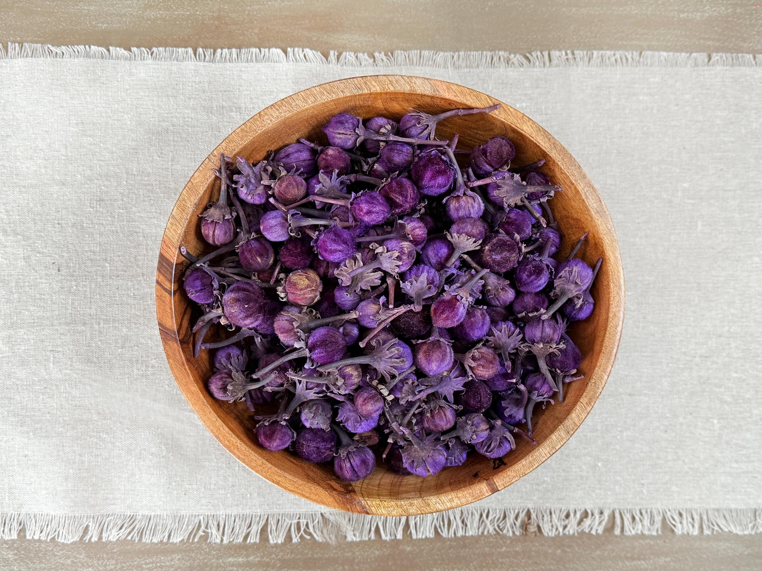 Purple Velvet Dried Botanicals – Decorative Bowl Fillers for Tables & Bowls