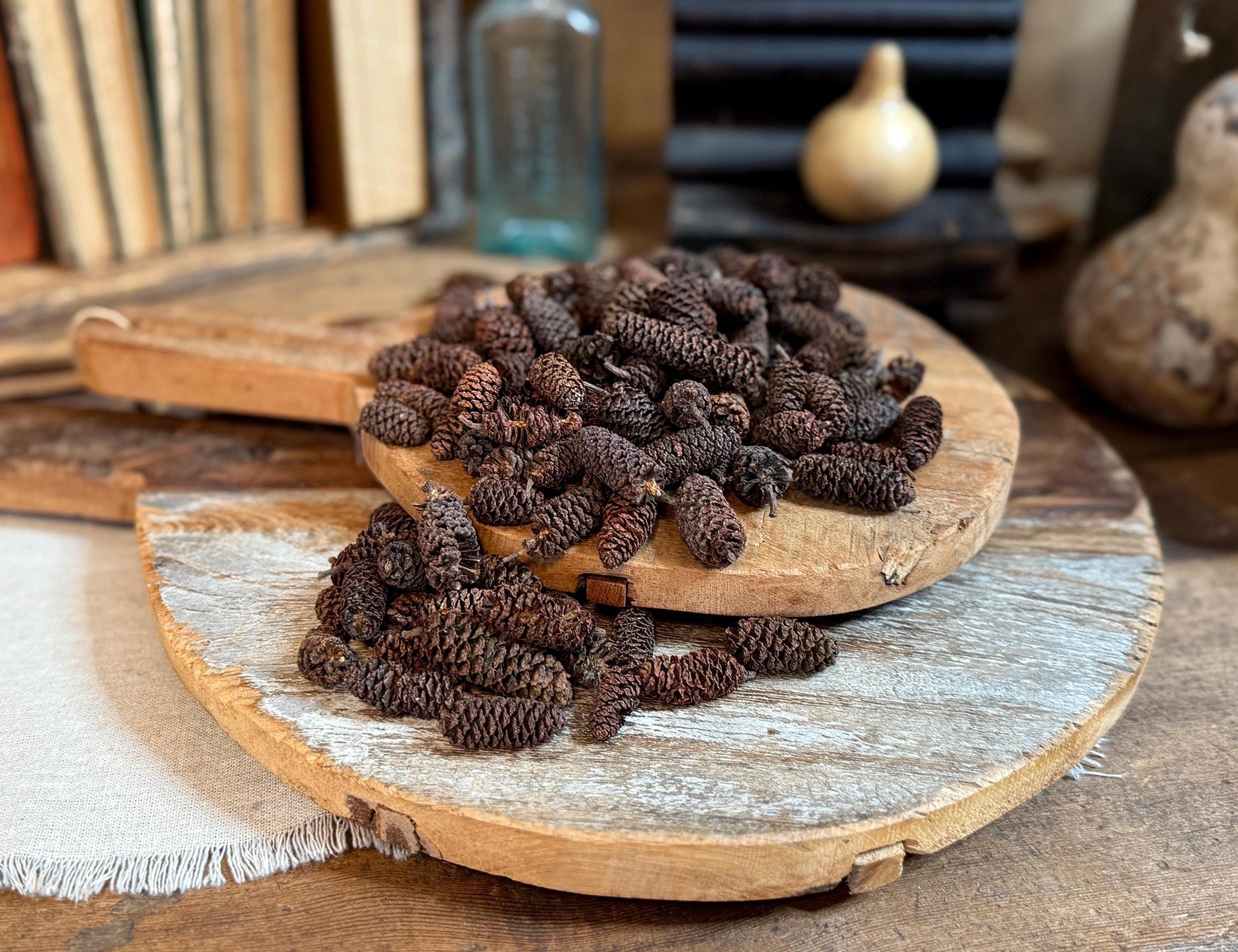 Miniature alder cones for rustic home décor and seasonal arrangements