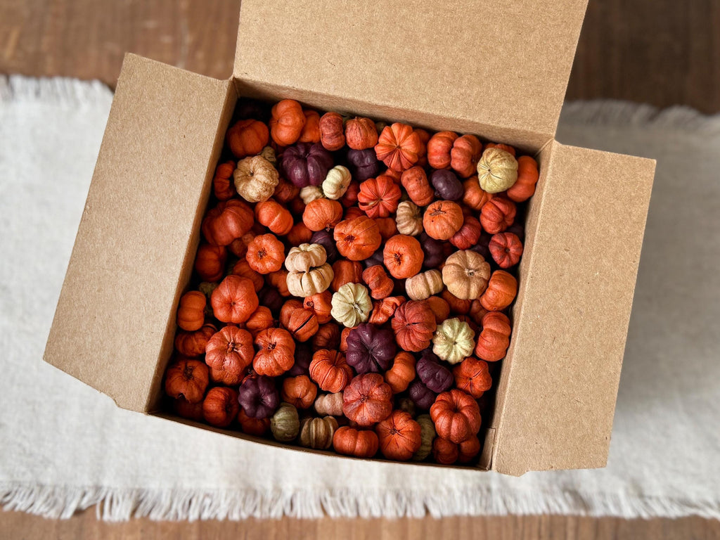 Box of small pumpkins in various colors on a white surface