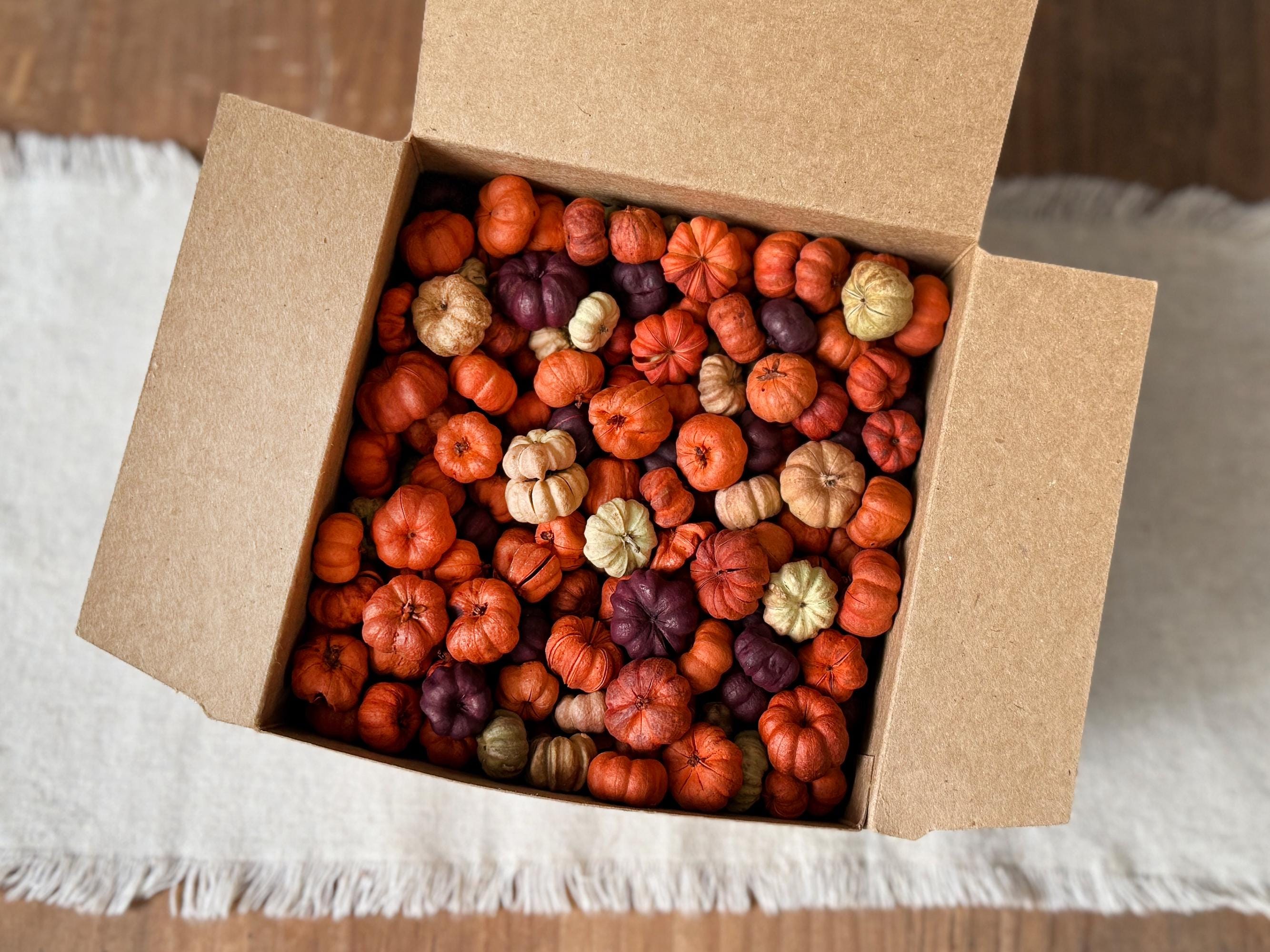 Box of small pumpkins in various colors on a white surface