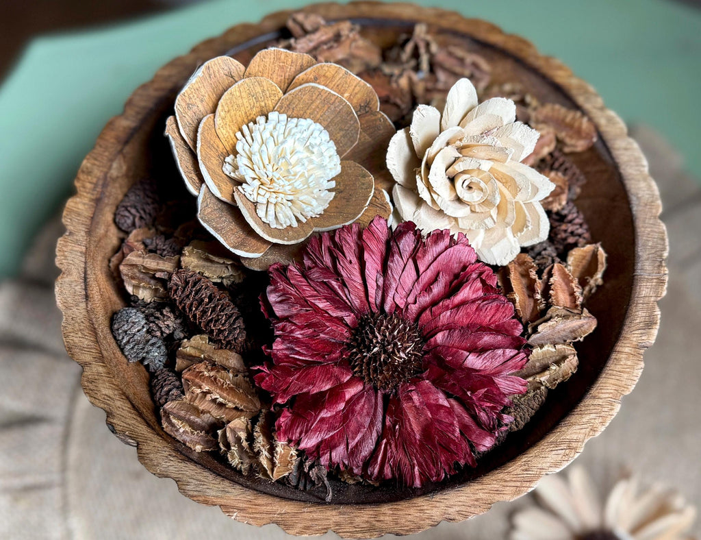 Alder cones for DIY holiday or year-round décor