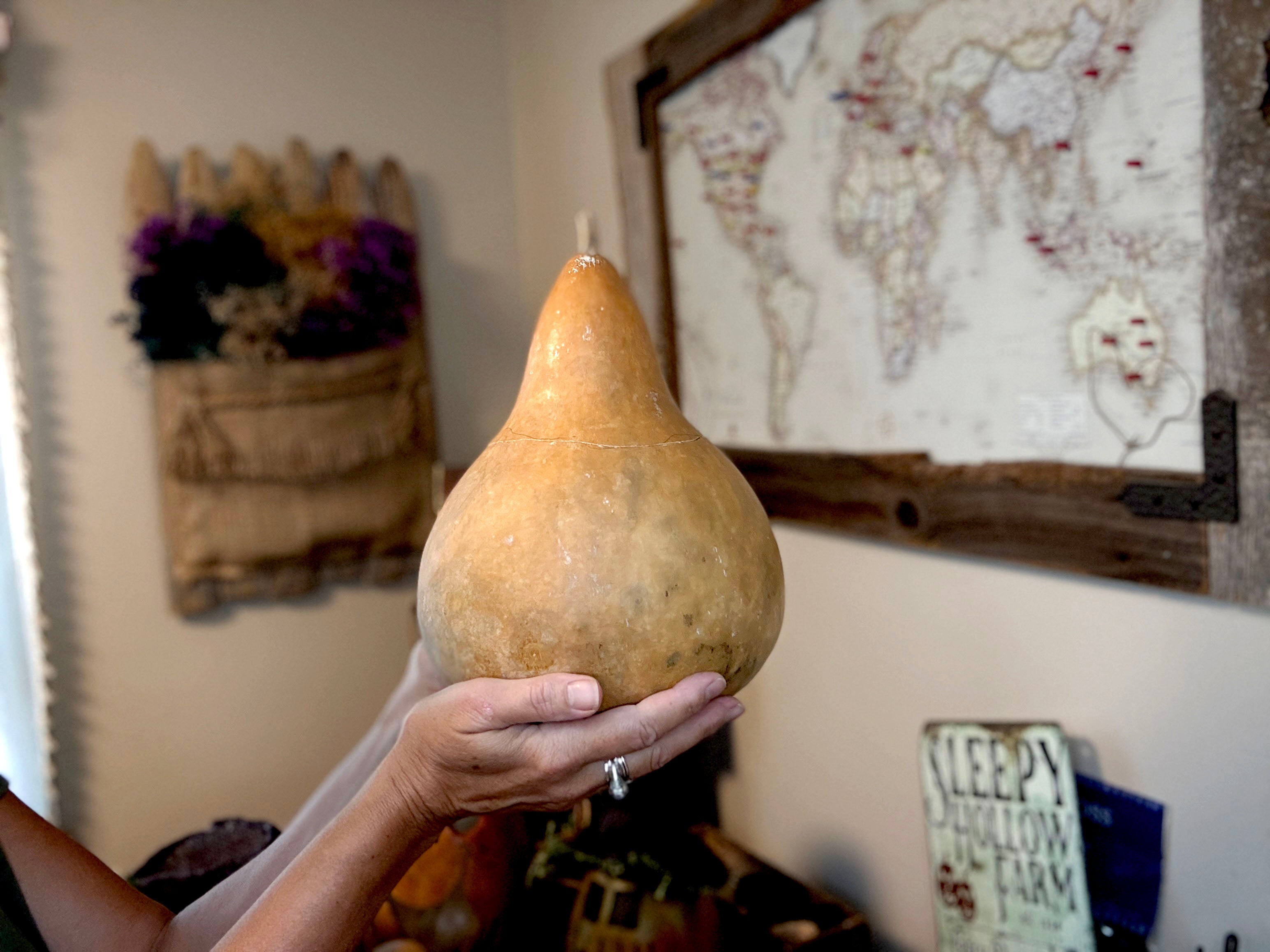 Person holding a large gourd in a room with decorative items on the wall.