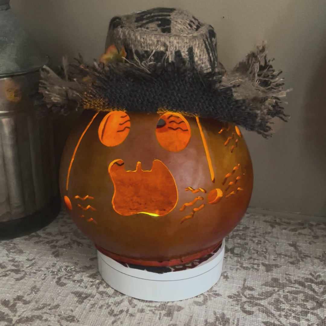 a hand carved pumpkin gourd named Finn. Facial expression has a surprised expression with two little front teeth and spiders hanging down the sides.