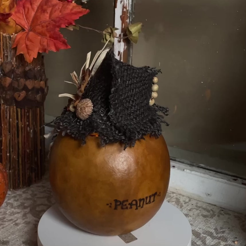 Little pumpkin made from real gourd. Named Peanut with a custom hat.