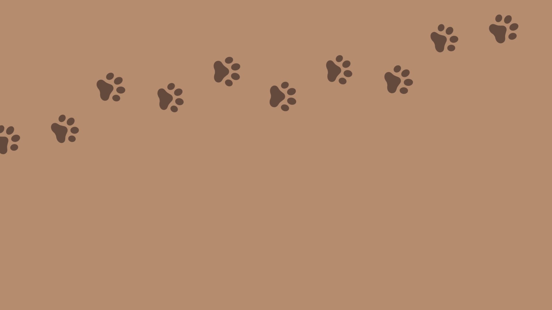 Video show dog gourds being made and then styling with them in wooden bowl