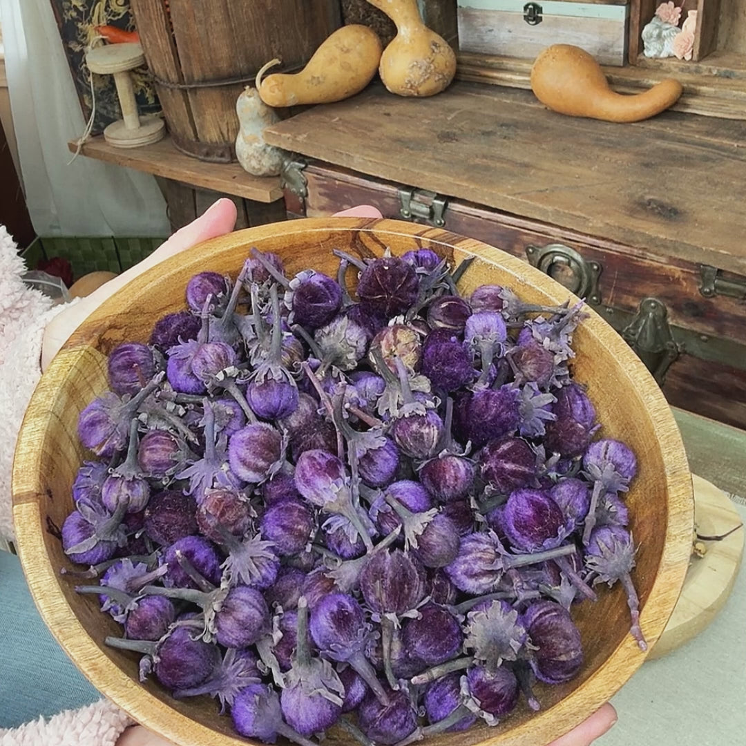 Purple Velvet Dried Botanicals – Decorative Bowl Fillers for Tables & Bowls