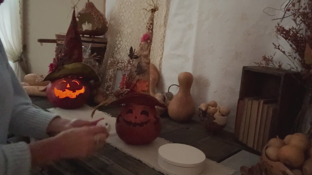 Aster Pumpkin Gourd Luminary – Handmade Halloween Decor & Rustic Fall Centerpiece