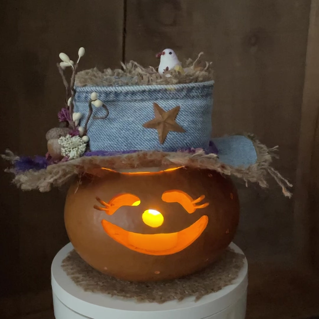 Real pumpkin gourd with custom denim hat.